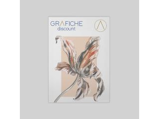 Grafica Forex
